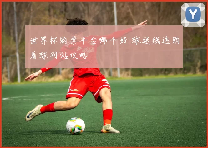 世界杯购票平台哪个好 球迷线选购看球网站攻略